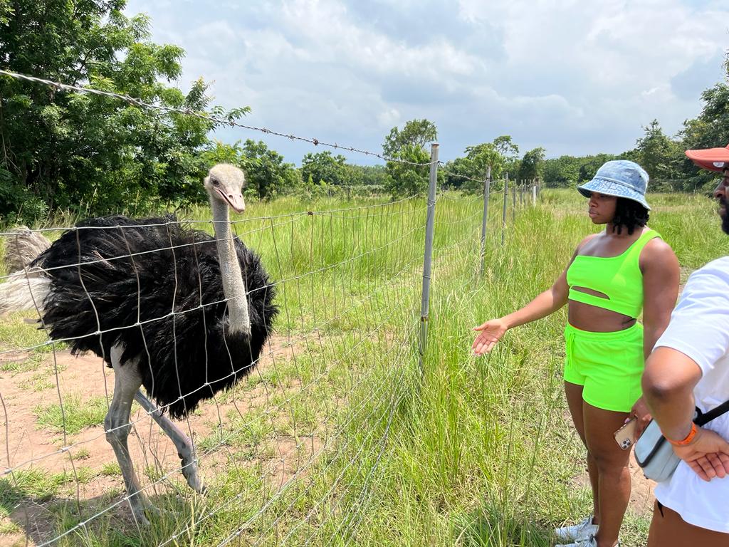 YENKO GHANA TOURS — tour operator in Second Shippi Cl, Ghana – photo 3