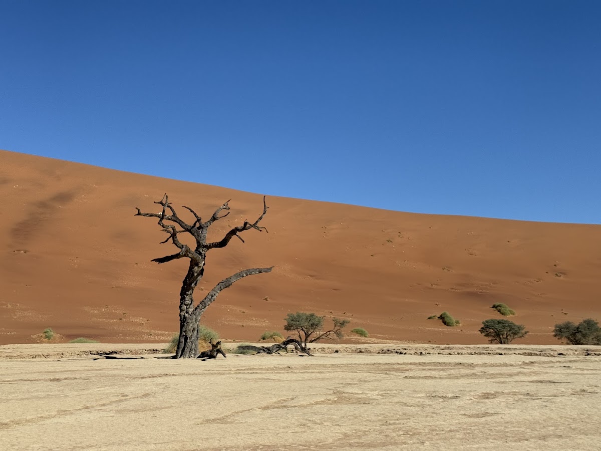 Wild Wind Safaris — tour operator in 28 Bacon Street, Namibia – photo 2