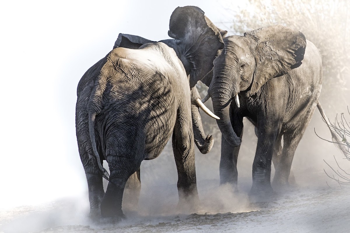 Wild Wind Safaris — tour operator in 28 Bacon Street, Namibia – photo 1
