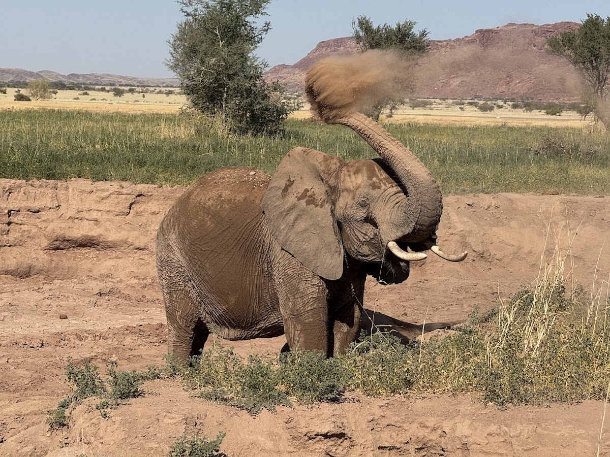 Wild Wind Safaris — tour operator in 28 Bacon Street, Namibia – photo 6