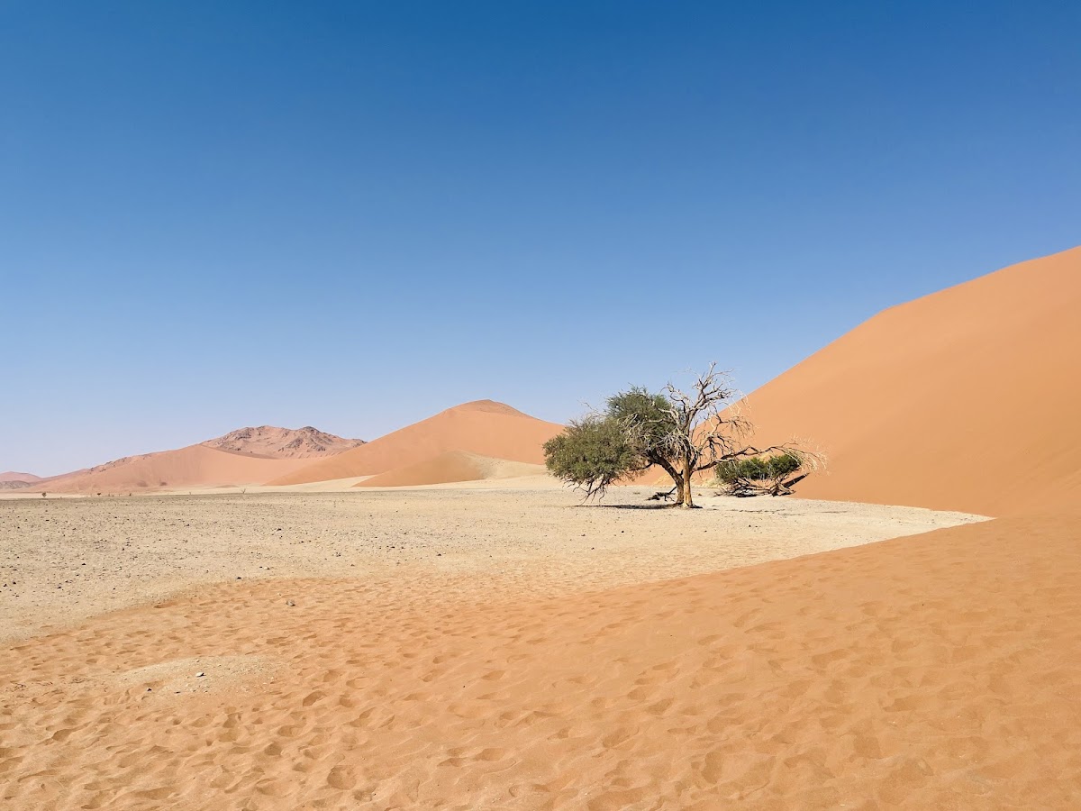 Comfort Tours & Safaris Namibia — tour operator in 7975 Bach Street, Namibia – photo 2