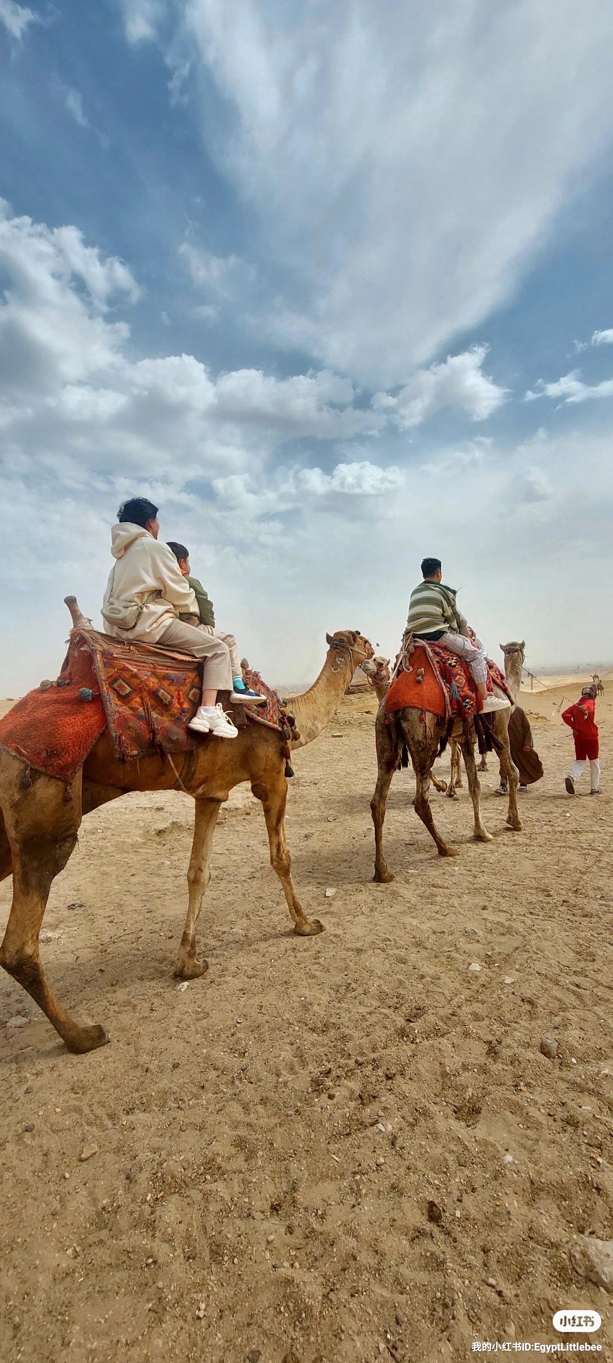 Quad Bike Tours Around Giza Pyramids Desert Safari | ATV & Camel Horse Rides | Rent Beach Buggy in Cairo | Online Booking — tour operator in Abdeen, Egypt – photo 6