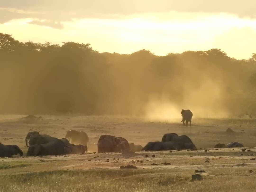 Southern Expeditions travel and tour — tour operator in Nkwilimba St, Zambia – photo 3