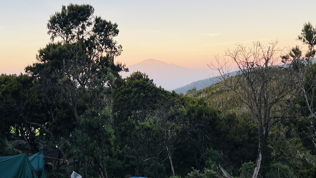 JAYNEVY TOURS CO L.T.D Best Tanzania Tours & Safari Company in Serengeti|Kilimanjaro Climbing Operators. — tour operator in 87846 Moshi TZ, Tanzania – photo 6