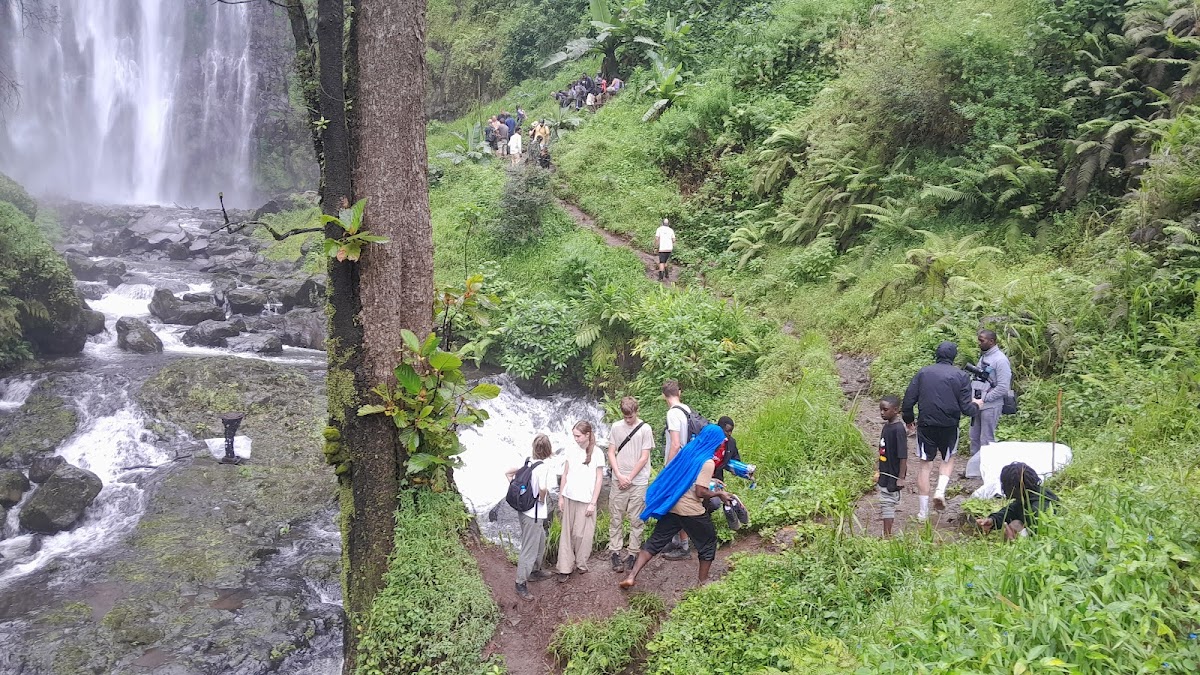 JAYNEVY TOURS CO L.T.D Best Tanzania Tours & Safari Company in Serengeti|Kilimanjaro Climbing Operators. — tour operator in 87846 Moshi TZ, Tanzania – photo 4