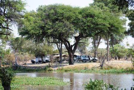 Oka swamps travel and tours agency — tour operator in Maun Oldmall, Botswana – photo 5