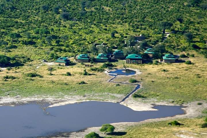 Oka swamps travel and tours agency — tour operator in Maun Oldmall, Botswana – photo 3