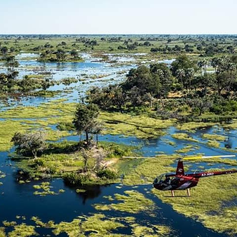 Oka swamps travel and tours agency — tour operator in Maun Oldmall, Botswana – photo 1