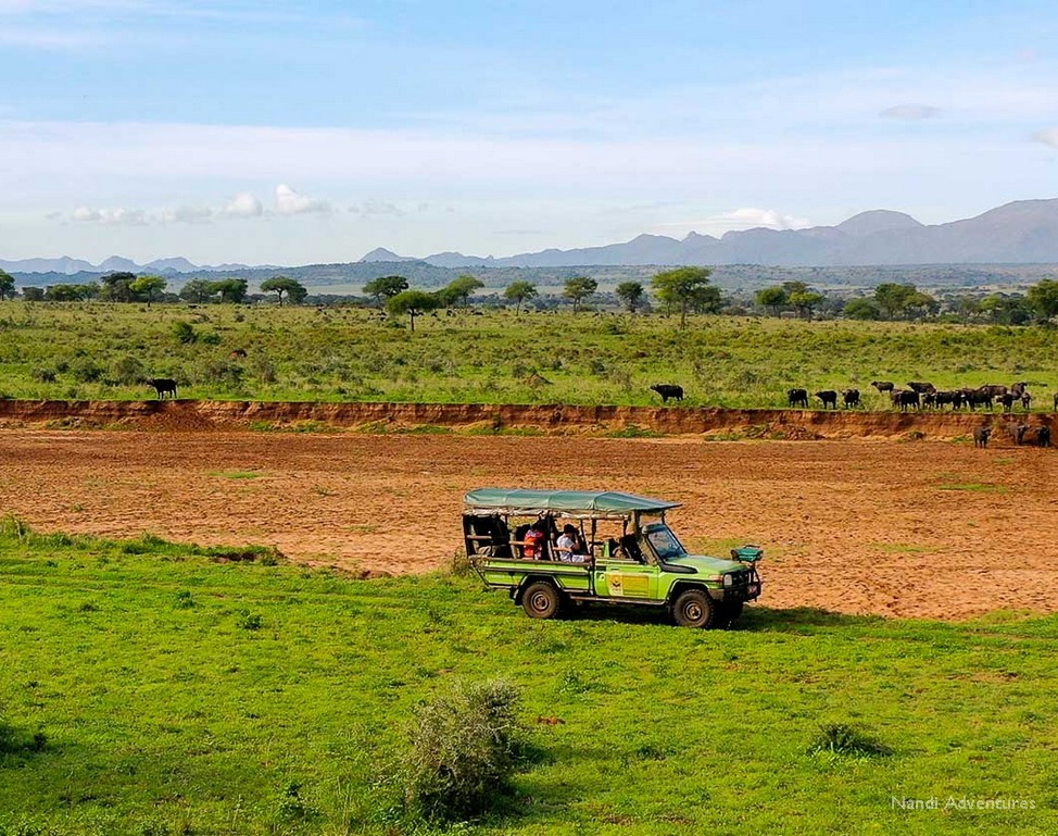 Nandi Adventures — tour operator in 1377 Kisaasi - Kyanja Rd, Uganda – photo 2