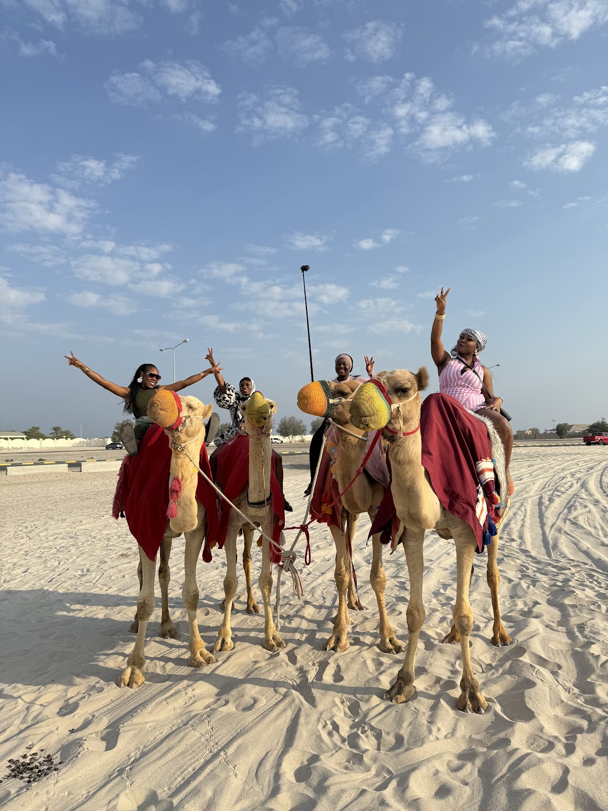 Wilsco Travel and Tours — tour operator in Lagos 106104, Nigeria – photo 4