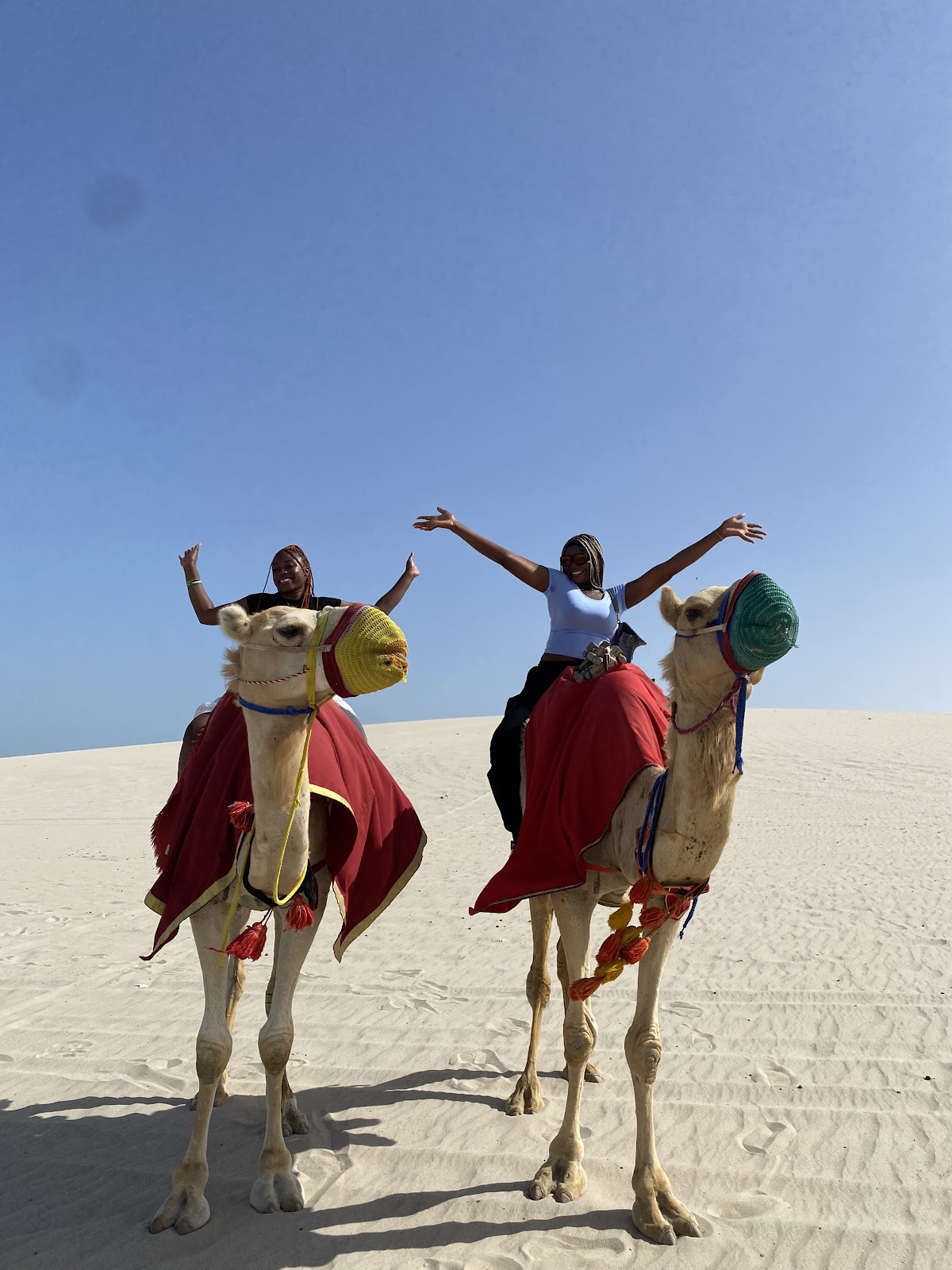Wilsco Travel and Tours — tour operator in Lagos 106104, Nigeria – photo 1