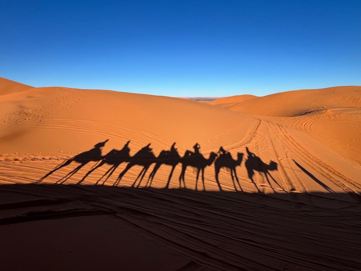 Morocco Tours Agency — tour operator in Hassi Labied، Area، Merzouga 52202, Morocco – photo 2