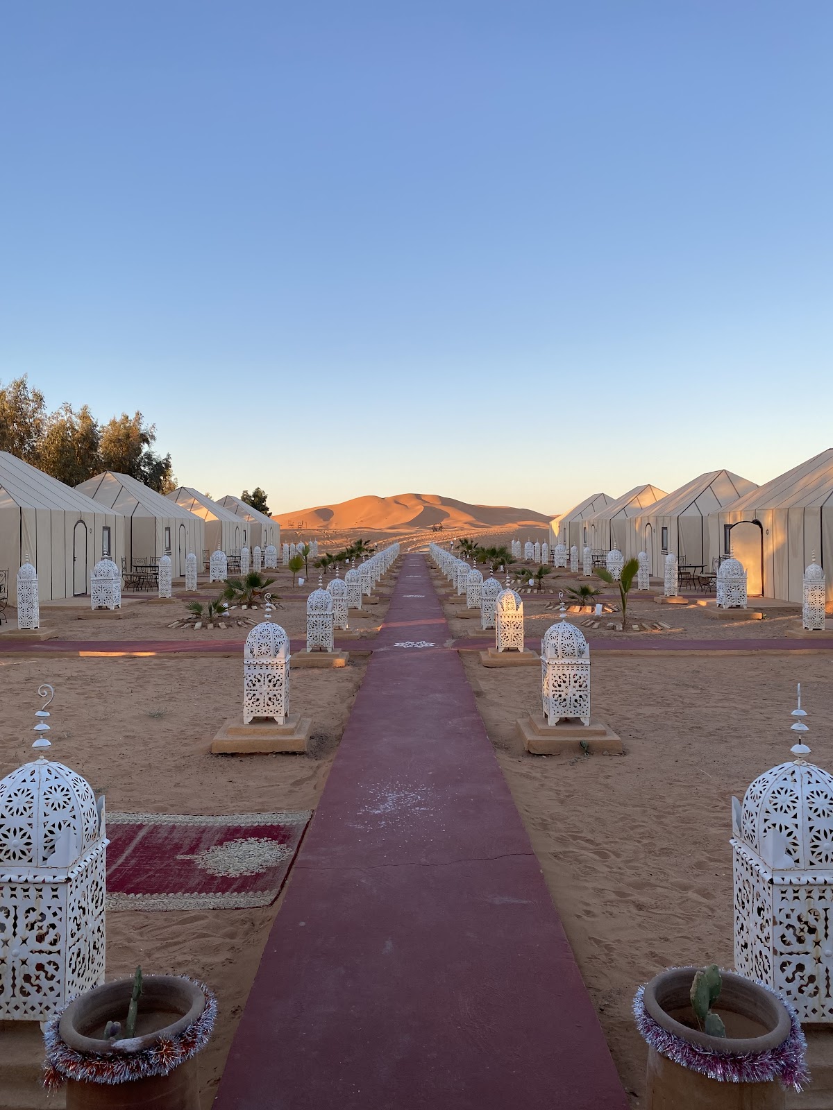 Morocco Tours Agency — tour operator in Hassi Labied، Area، Merzouga 52202, Morocco – photo 4