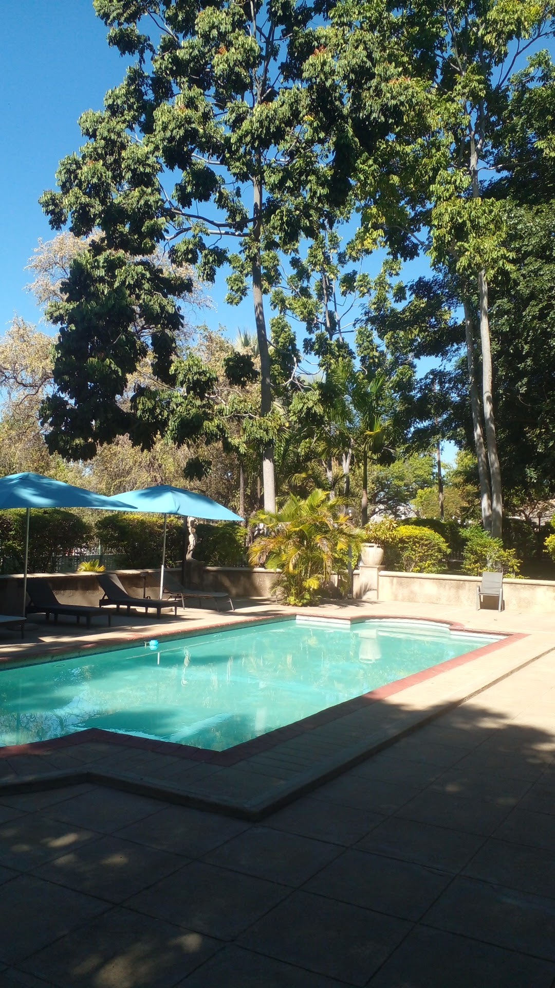 ROBBIN HOOD TOURS ACTIVITY BOOKING DESK — tour operator in 476 Adam Stander Dr, Zimbabwe – photo 5