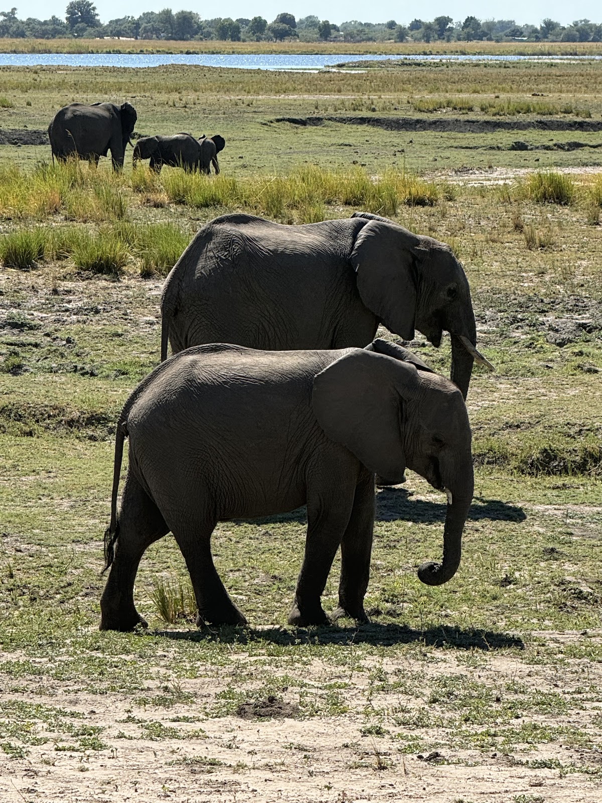 ROBBIN HOOD TOURS ACTIVITY BOOKING DESK — tour operator in 476 Adam Stander Dr, Zimbabwe – photo 3