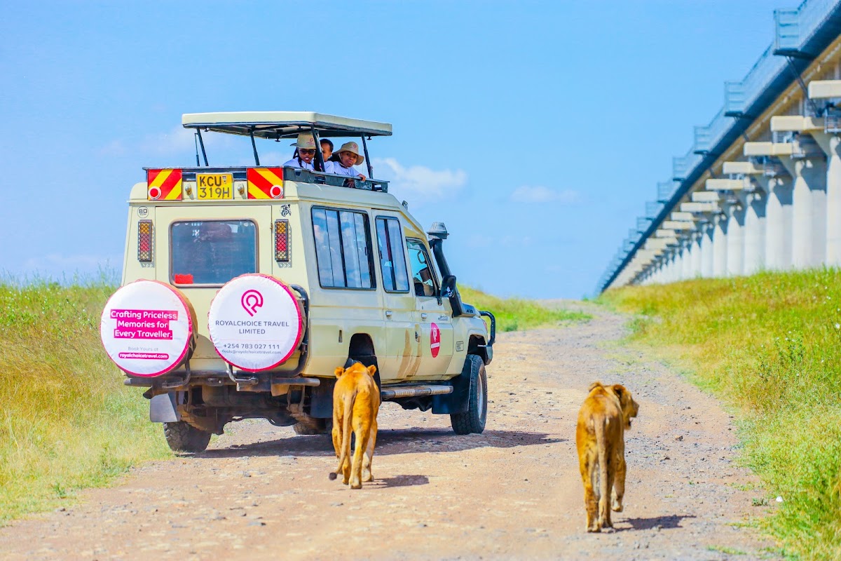 RoyalChoice Travel Limited - Licensed Travel Agency in Kenya for Safaris, Beach Packages, Staycations and All types of Tours — tour operator in Spur Mall, Kenya – photo 1