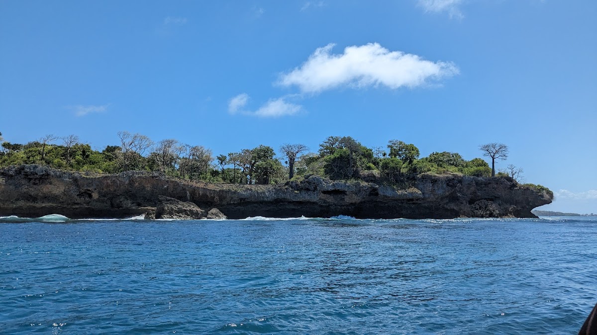 RoyalChoice Travel Limited - Licensed Travel Agency in Kenya for Safaris, Beach Packages, Staycations and All types of Tours — tour operator in Spur Mall, Kenya – photo 5