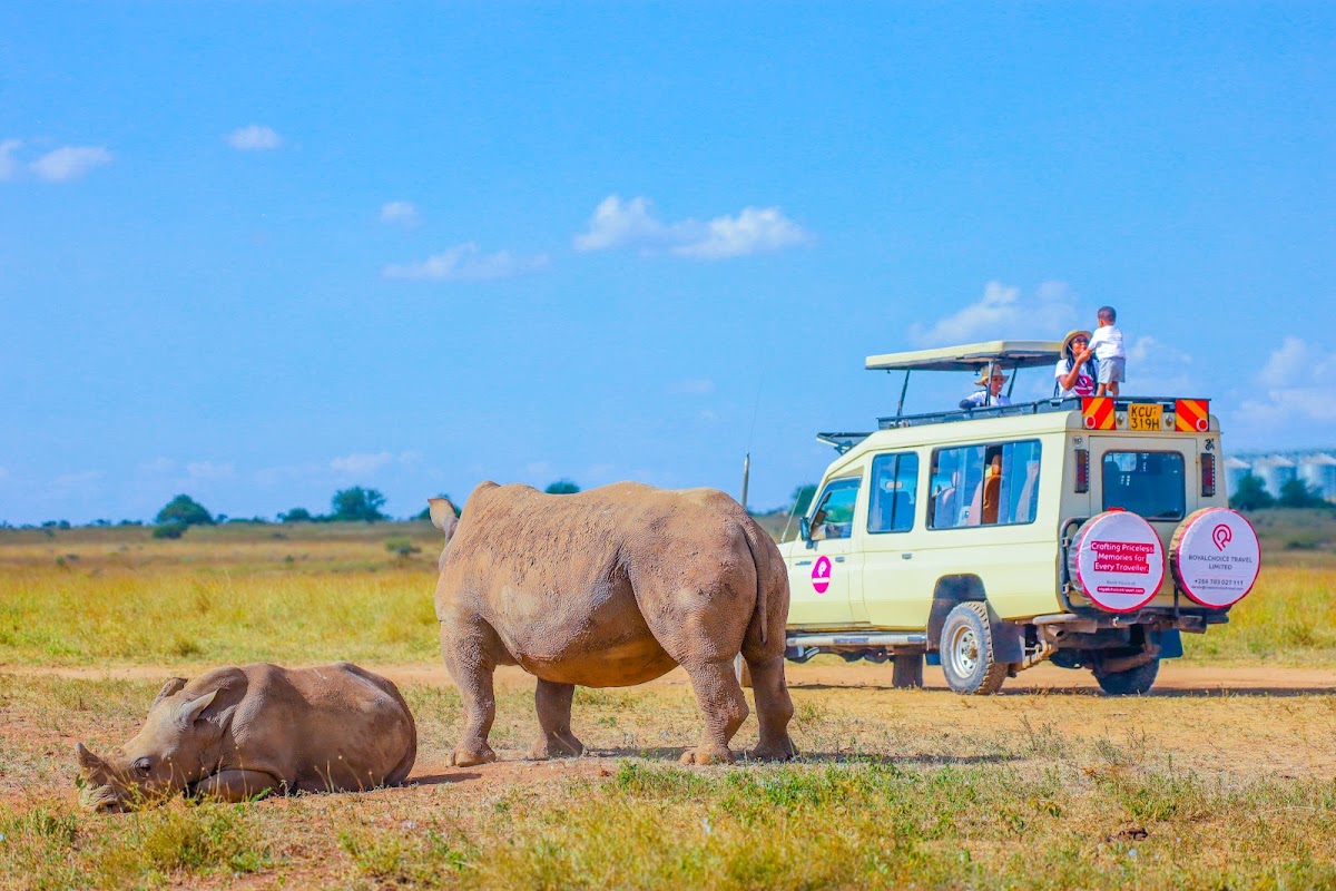 RoyalChoice Travel Limited - Licensed Travel Agency in Kenya for Safaris, Beach Packages, Staycations and All types of Tours — tour operator in Spur Mall, Kenya – photo 6