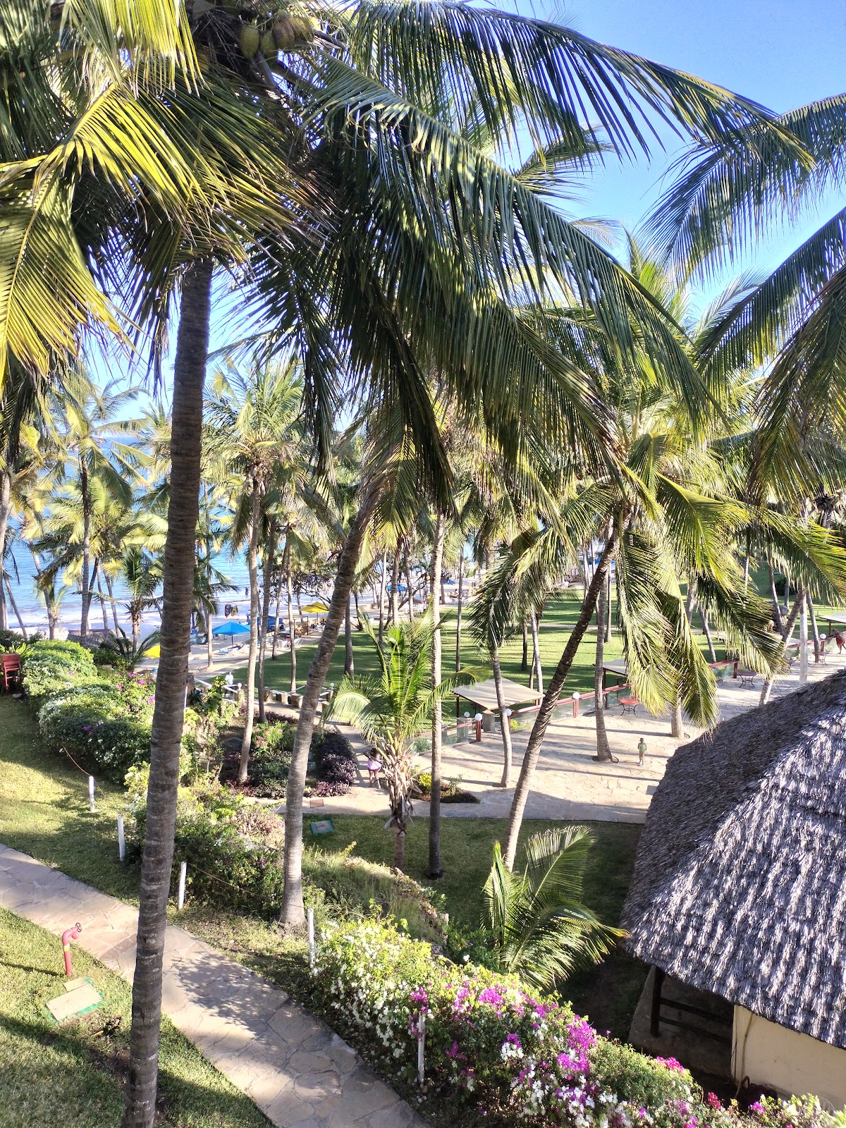 RoyalChoice Travel Limited - Licensed Travel Agency in Kenya for Safaris, Beach Packages, Staycations and All types of Tours — tour operator in Spur Mall, Kenya – photo 3
