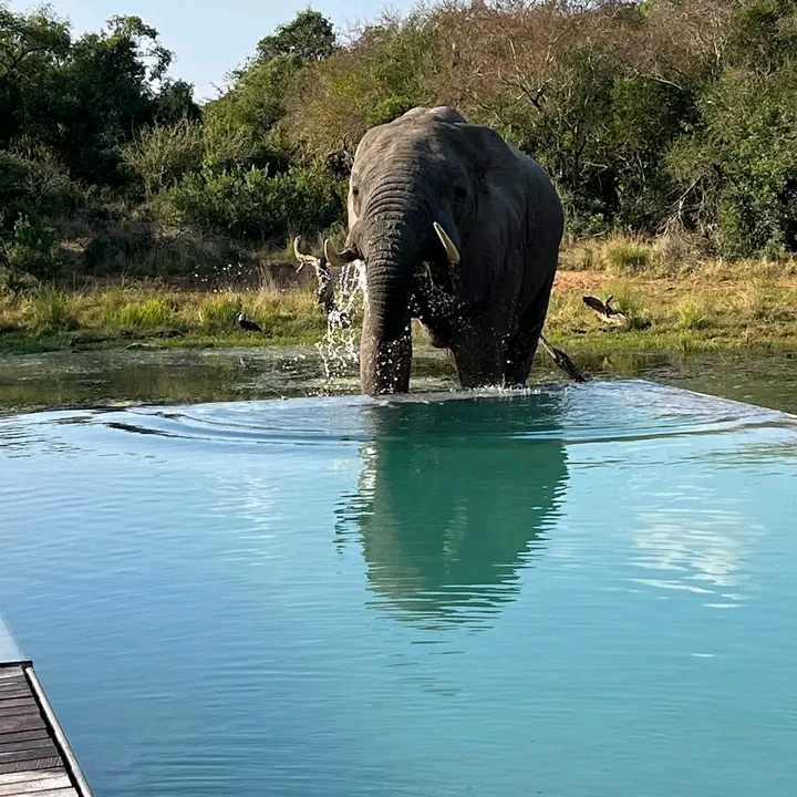 Little Roz Tours (Victoria Falls ) — tour operator in Mkhosana Victoria Falls, Zimbabwe – photo 2