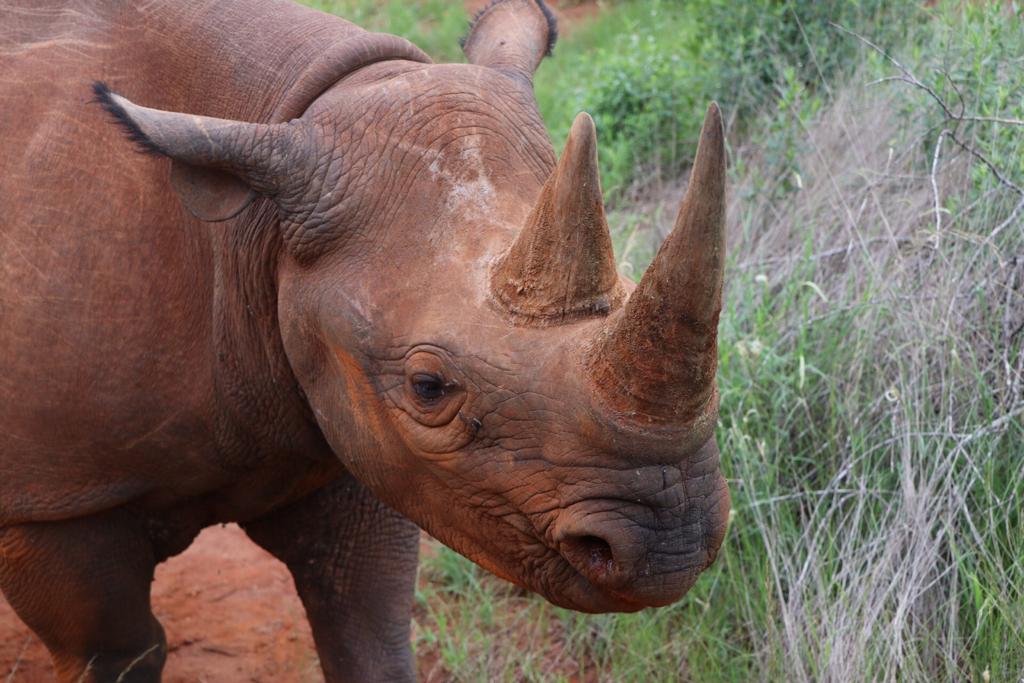 Tanzania Mwangaza Tours & Safari | Best tour operators in Tanzania — tour operator in delta hotel, Tanzania – photo 4