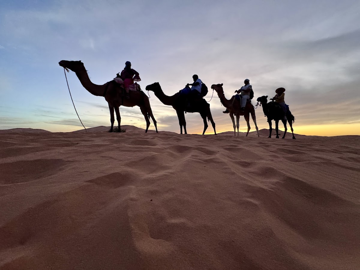 Morocco Discovery — tour operator in N° 10 Bd Allal Al Fassi, Morocco – photo 2