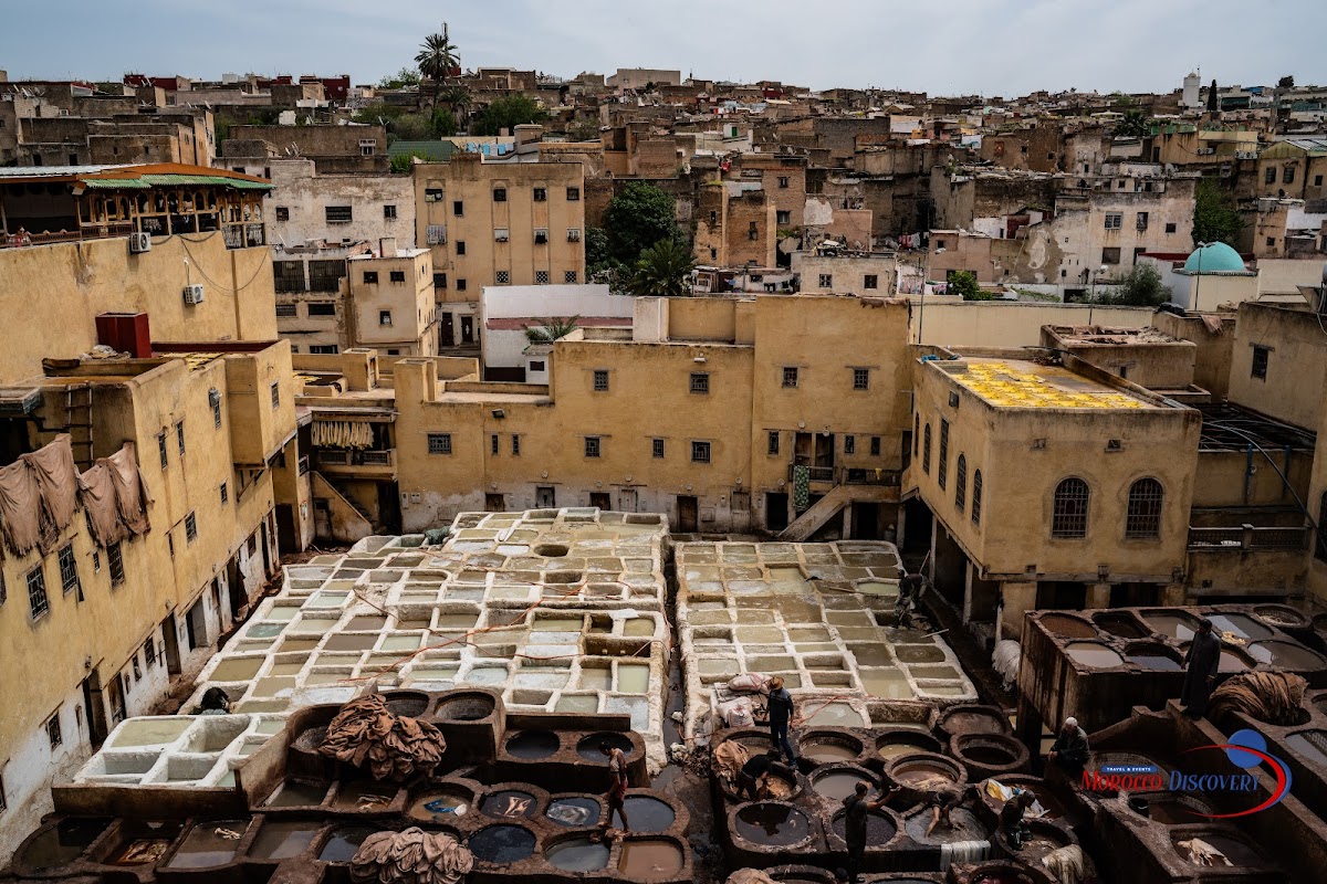 Morocco Discovery — tour operator in N° 10 Bd Allal Al Fassi, Morocco – photo 5