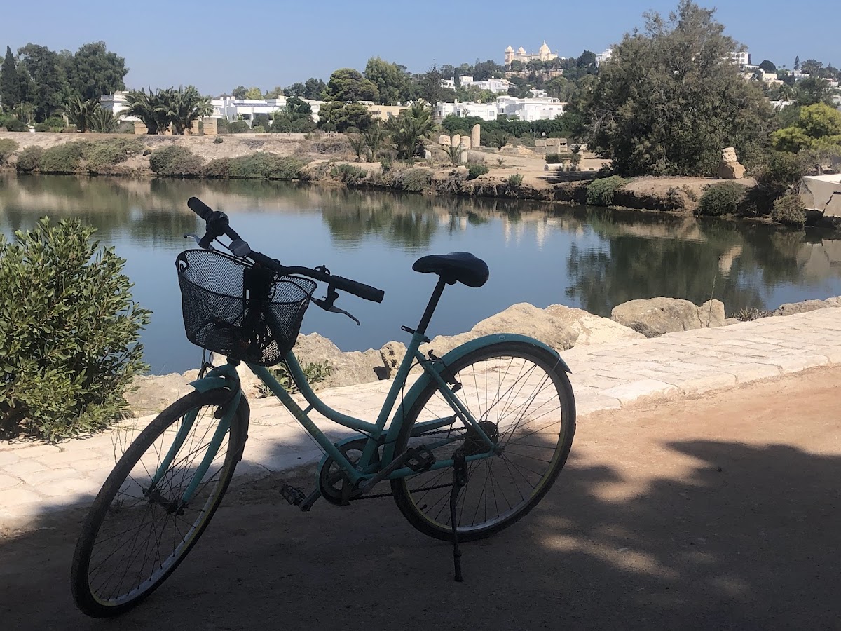 Tunisia cultural tours — tour operator in Yasmina, Tunisia – photo 4