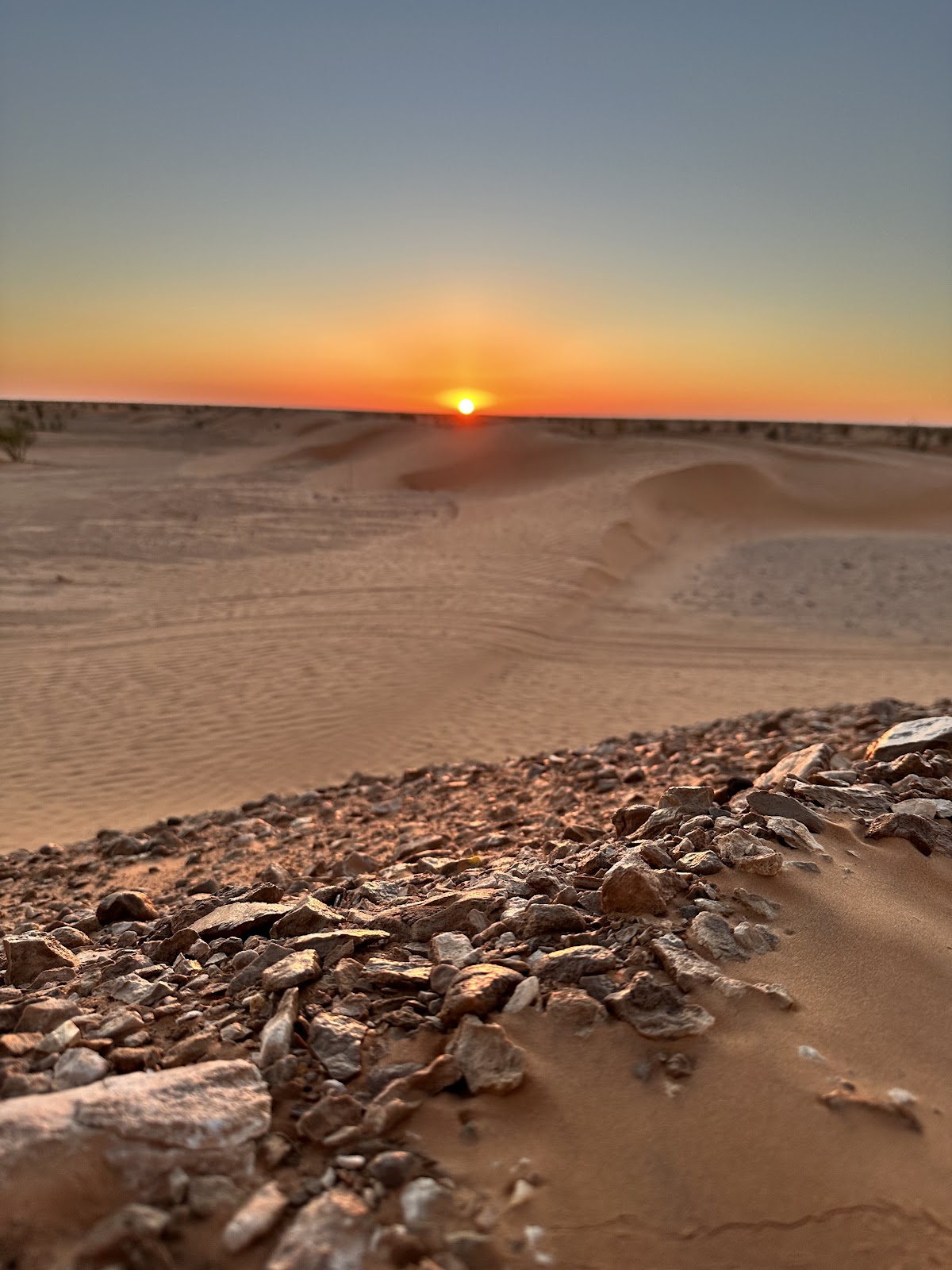 GSA-VOYAGES / Grand-Sahara-Aventures: Djerba Travel Agency — tour operator in Avenue De L’Environnement، Djerba Midun 4116, Tunisia – photo 2