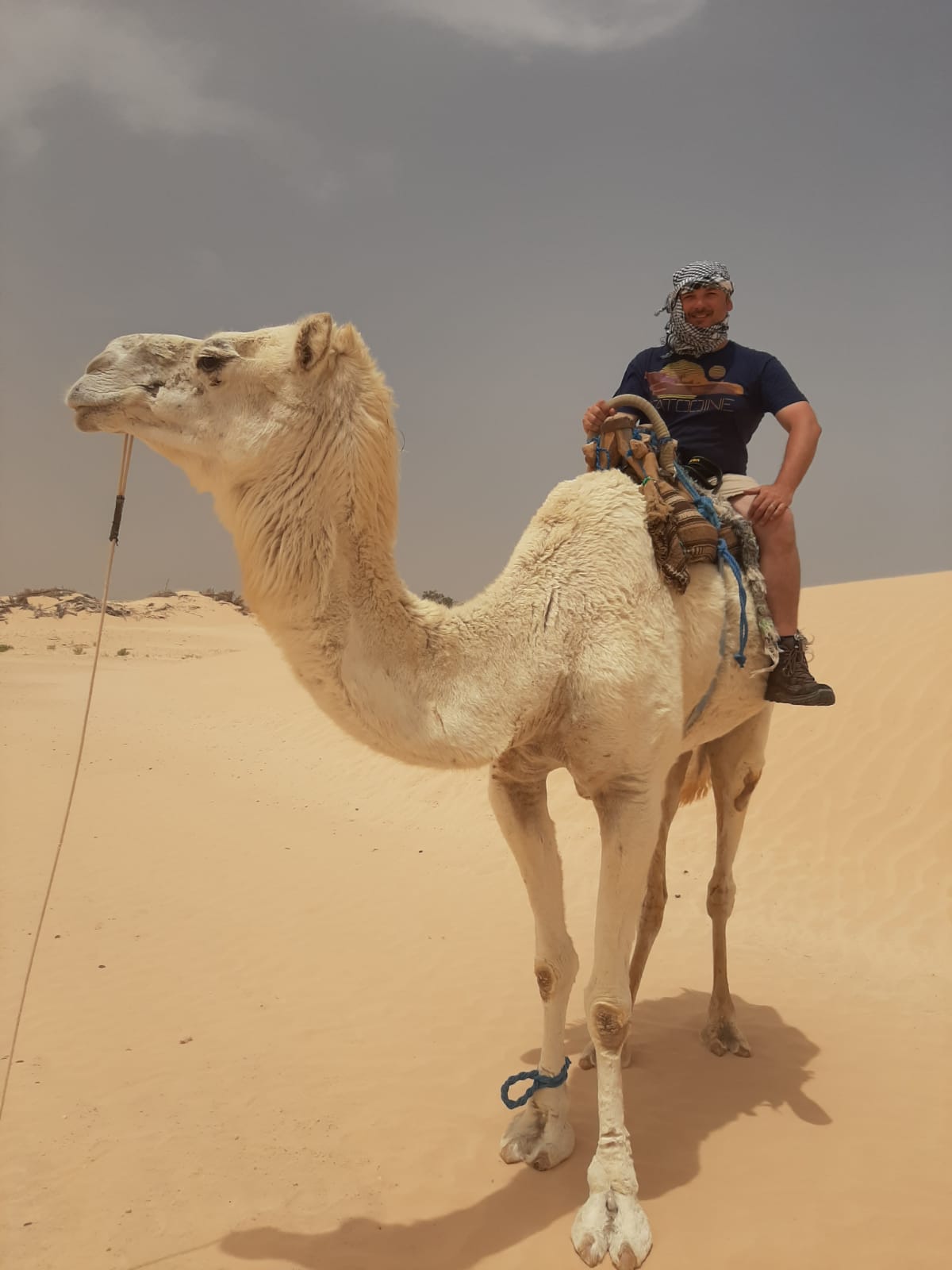 GSA-VOYAGES / Grand-Sahara-Aventures: Djerba Travel Agency — tour operator in Avenue De L’Environnement، Djerba Midun 4116, Tunisia – photo 4