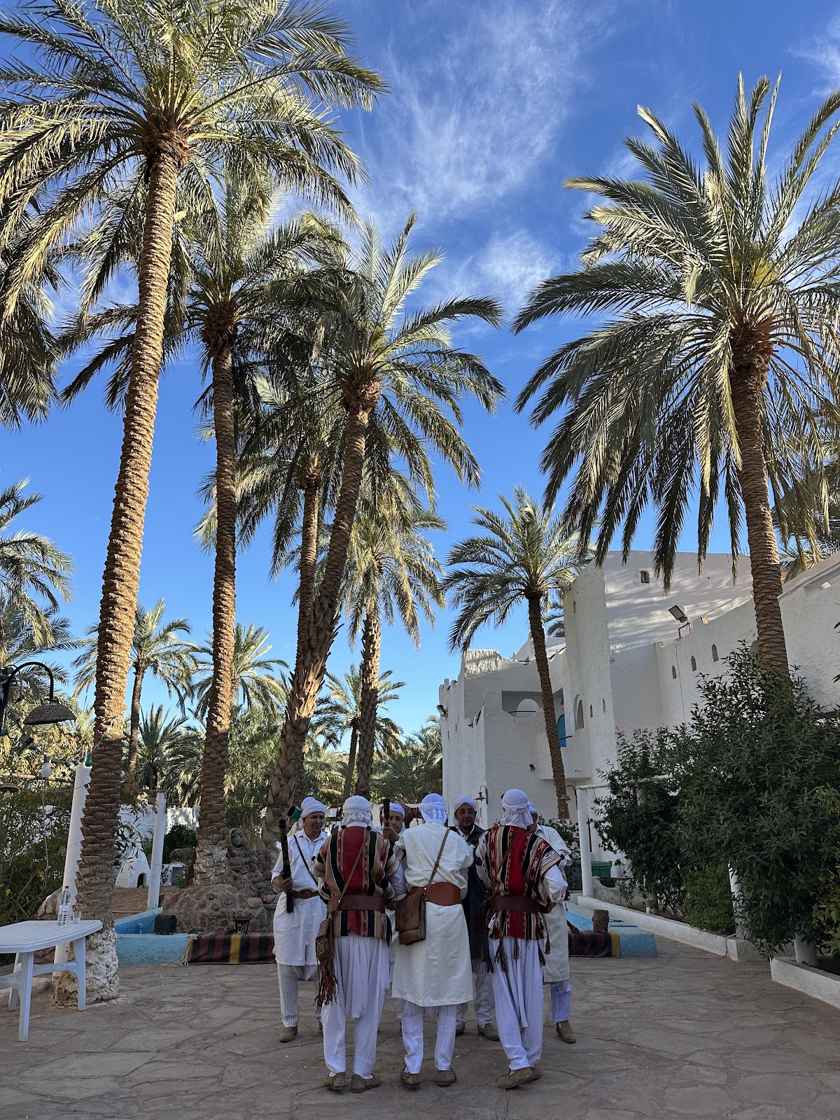 Izelwan Travel and Tours — tour operator in Bounoura 47005, Algeria – photo 2
