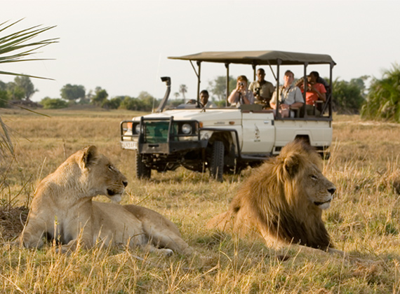 Wild Race Africa Travel & Adventures Ltd — tour operator in Moi Ave, Kenya – photo 6