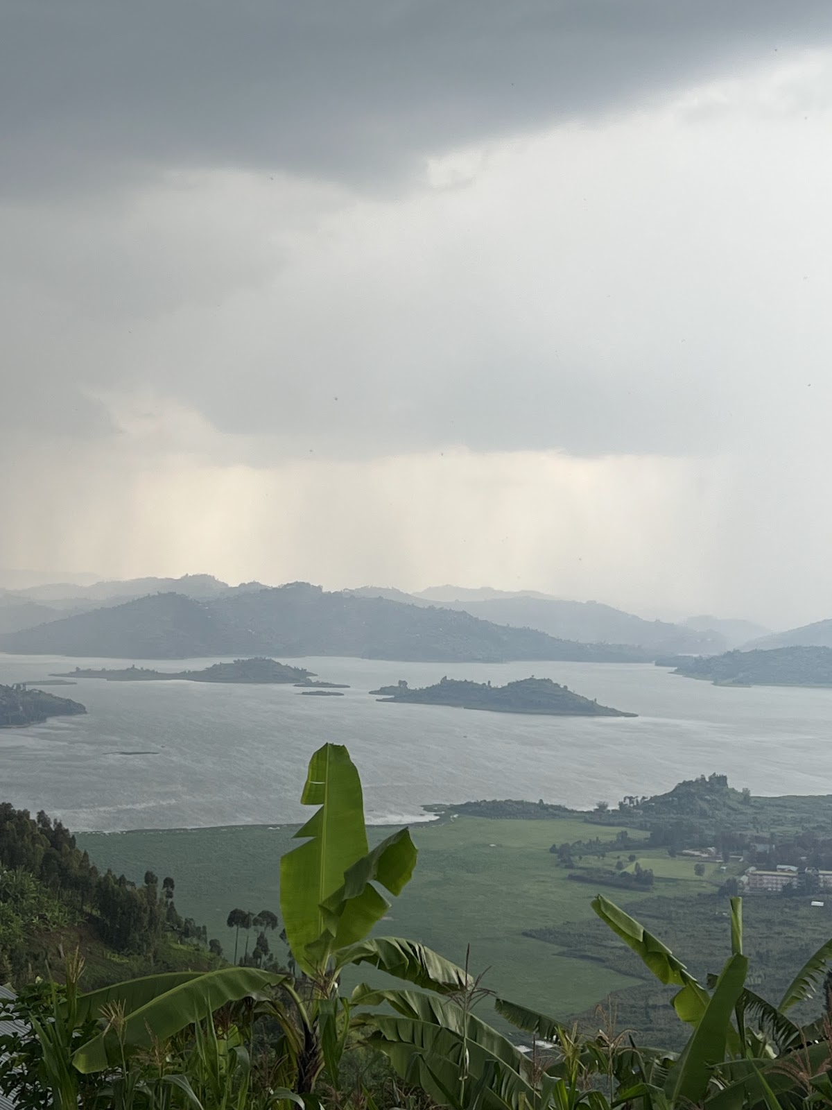 Rickshaw Travels Rwanda Ltd — tour operator in KN 4 Ave, Rwanda – photo 5