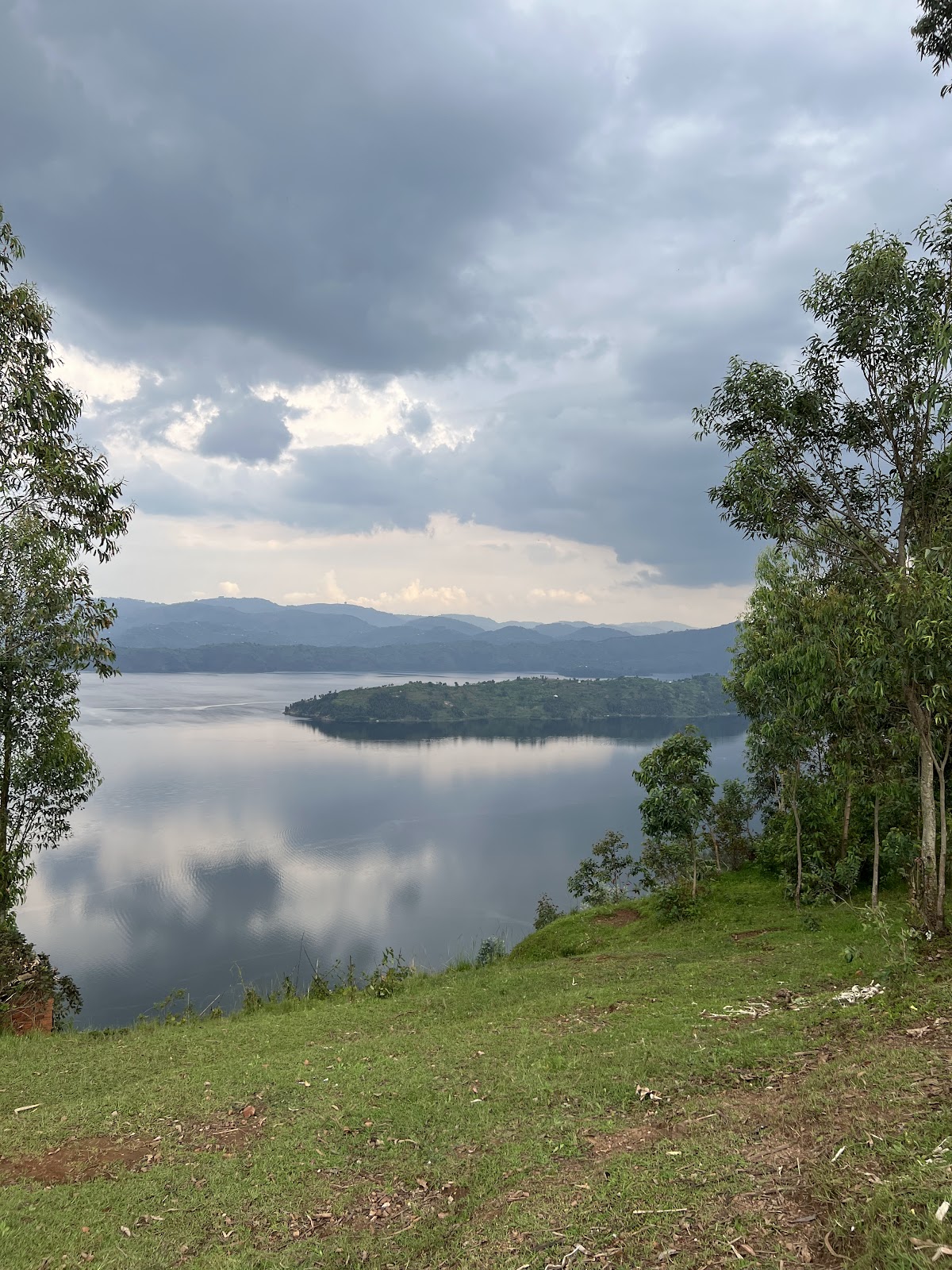 Rickshaw Travels Rwanda Ltd — tour operator in KN 4 Ave, Rwanda – photo 6