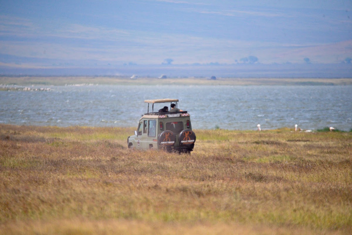 African Luxury Safari Tours | Great Image Expedition — tour operator in Arusha, Tanzania – photo 1