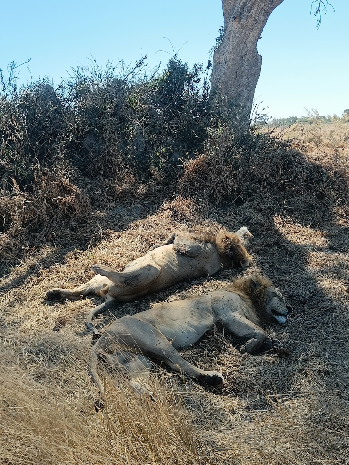 Planet Safari — tour operator in Botswana – photo 5