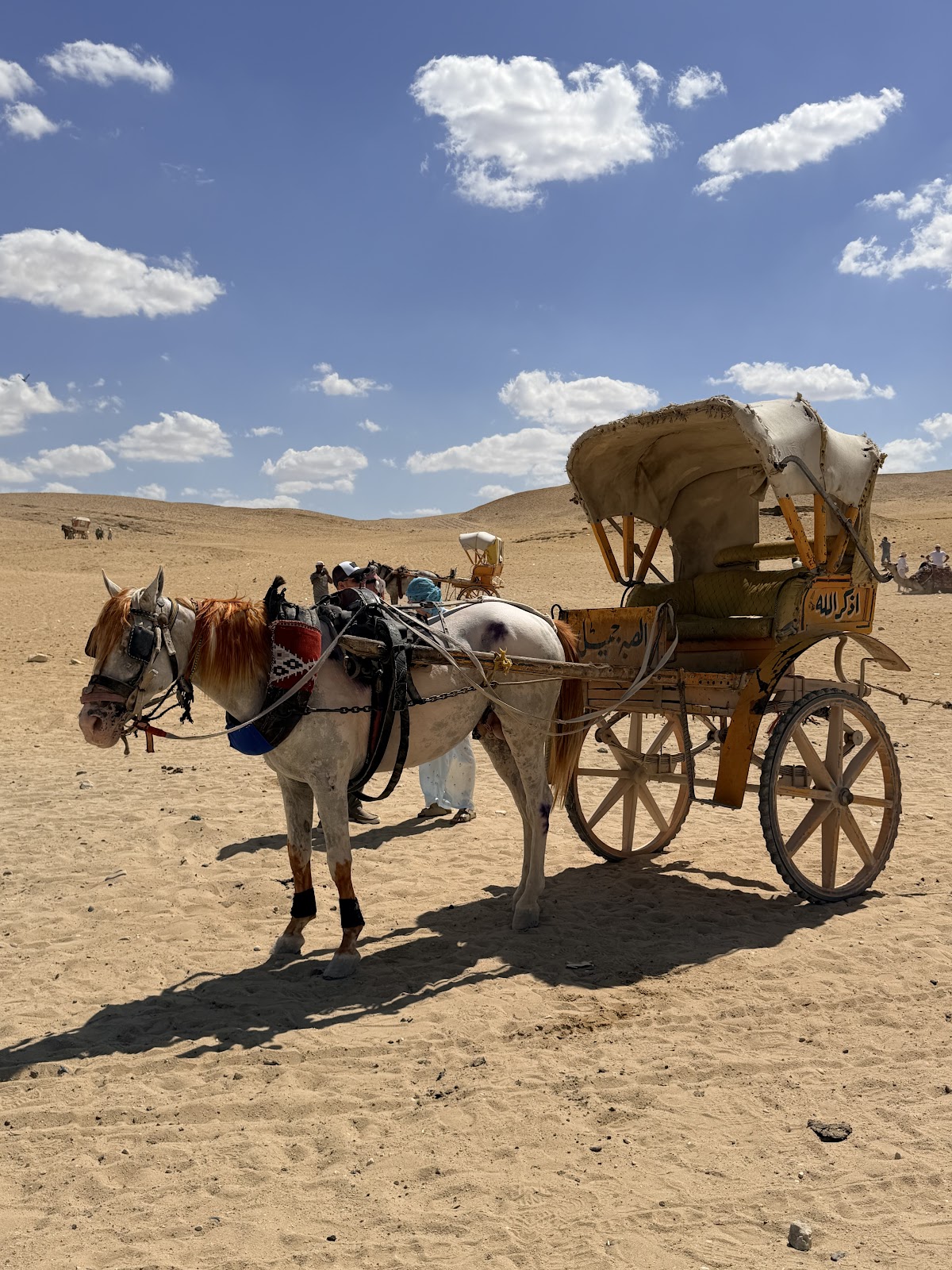 Mahmoud Safari Hurghada (Best Egypt Travel) — tour operator in Sayed korim street infront of 3 corner Impire hotel Hurghada.. Dahar، Hurghada 2, Egypt – photo 5