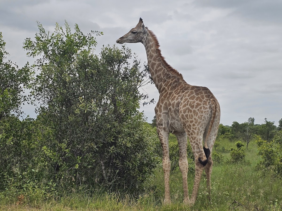 Africa Moja Tours & Safaris — tour operator in Sandton, South Africa – photo 6