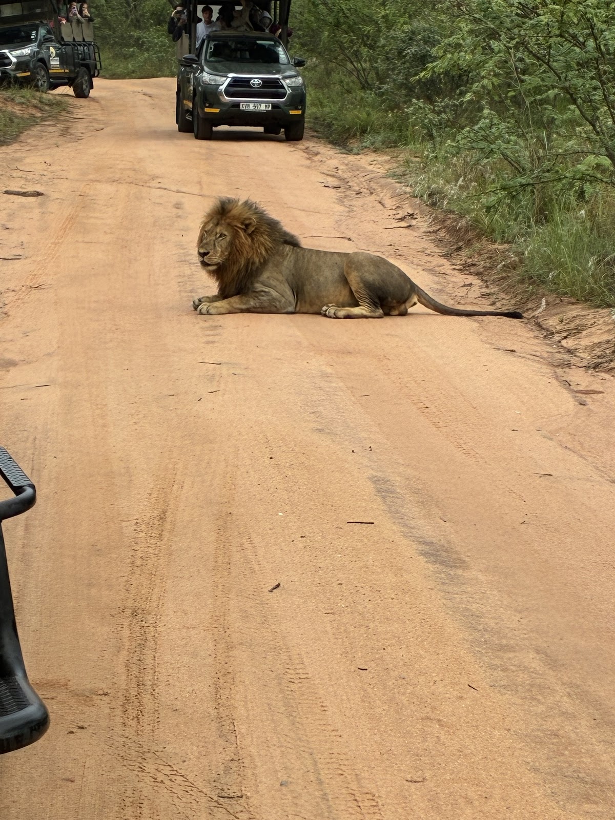 Africa Moja Tours & Safaris — tour operator in Sandton, South Africa – photo 3