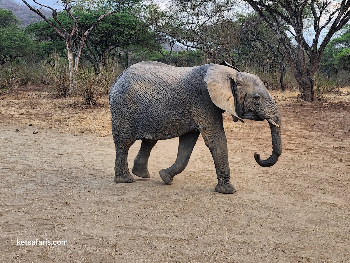 Kenya Expresso Tours & Safaris — tour operator in Airport N Rd, Kenya – photo 6