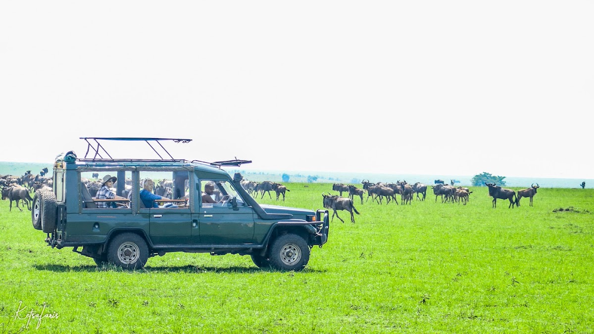 Kenya Expresso Tours & Safaris — tour operator in Airport N Rd, Kenya – photo 5