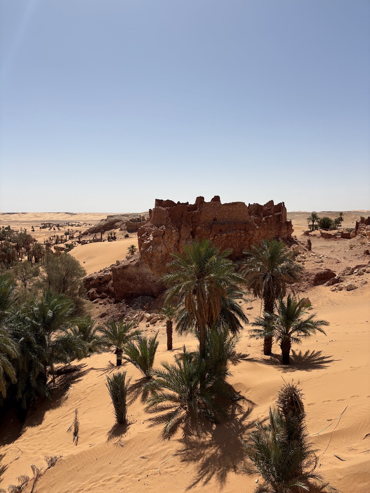Gili Travel — tour operator in 12 Chem. Sidi Yahia, Algeria – photo 4