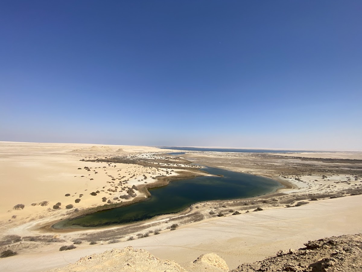 Real Egypt — tour operator in Off Roshdy St, Egypt – photo 3