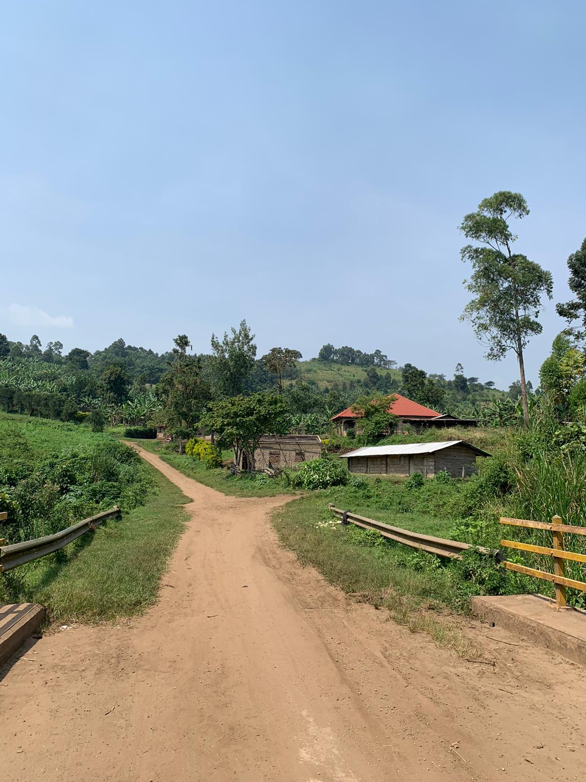 Uganda Crater Lakes Tours — tour operator in Kabata Village, Uganda – photo 6