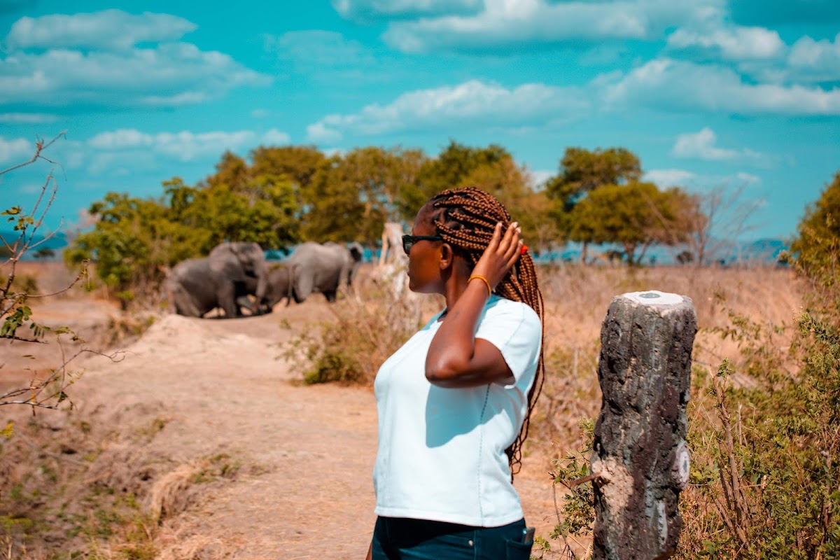 OPTIMUM TRAVEL TOURS — tour operator in Mlimani city, Tanzania – photo 3