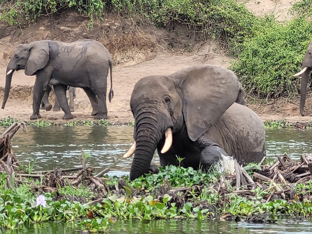 Responsible Travel Africa — tour operator in 23 KN 4 Ave, Rwanda – photo 3