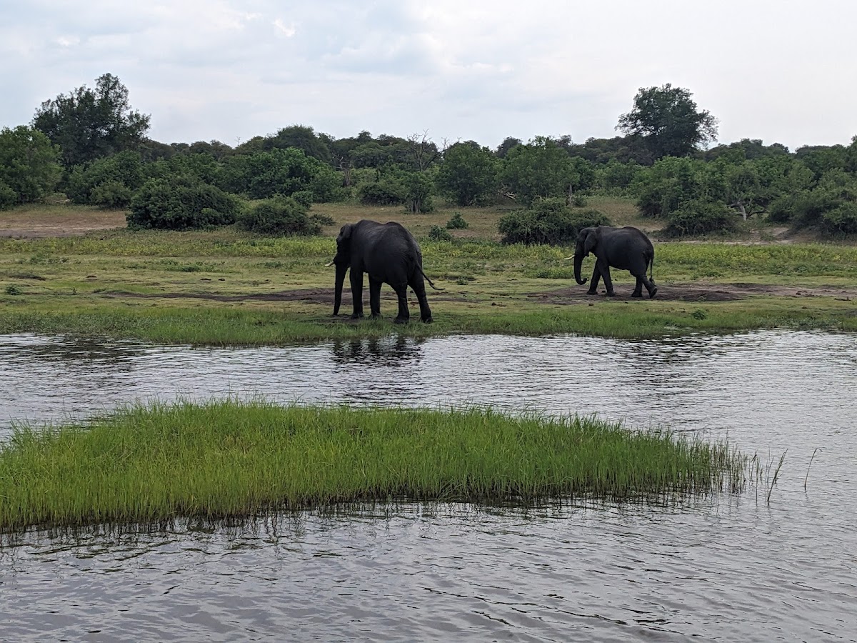 Southern African Tours — tour operator in Cape Town, South Africa – photo 3