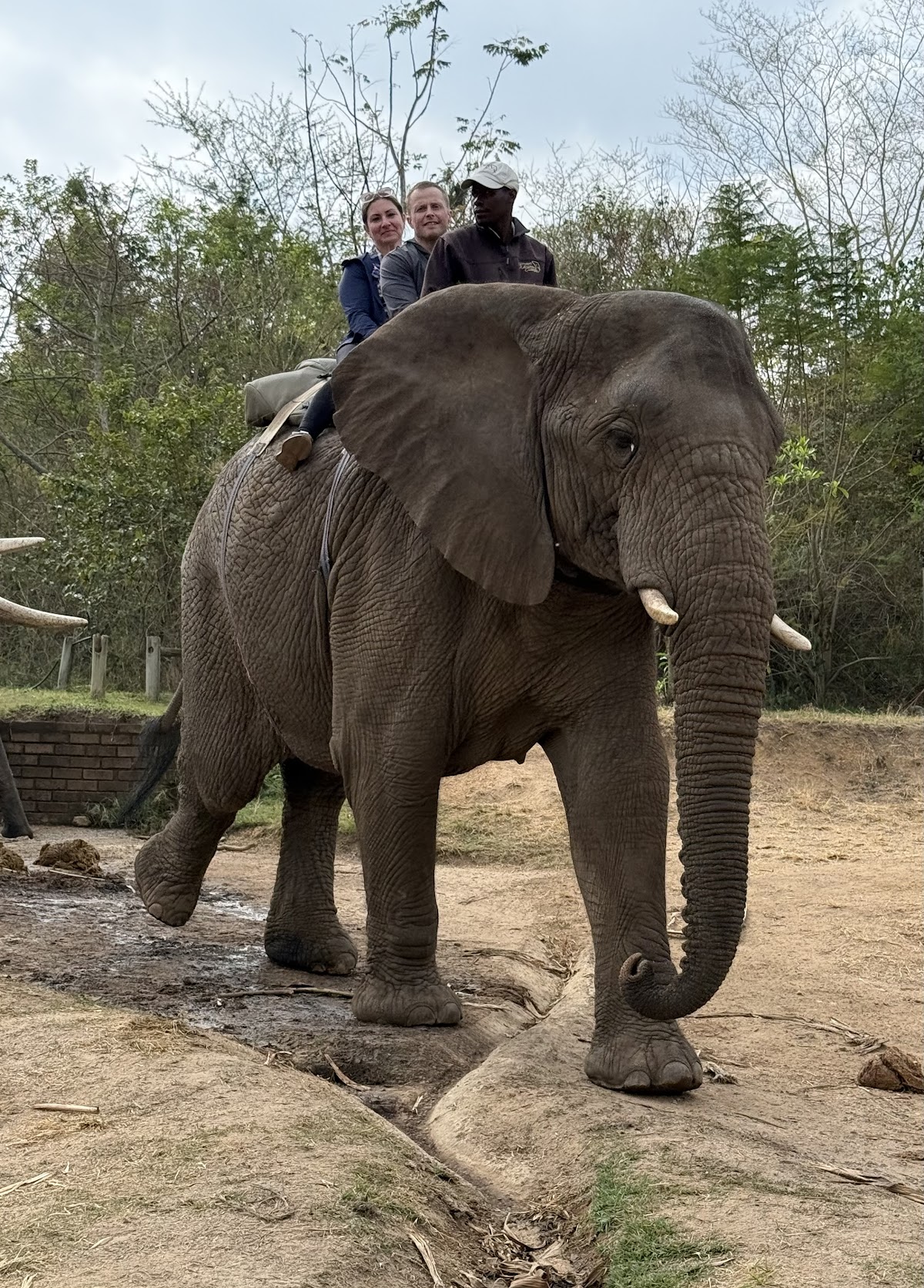 African Sky Safaris & Tours — tour operator in Silver Lakes Golf Estate, South Africa – photo 3