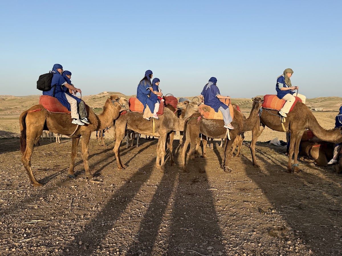 Starry Morocco Tours & Excursions From Marrakech — tour operator in Rue Riad Zitoun el Jdid, Morocco – photo 5