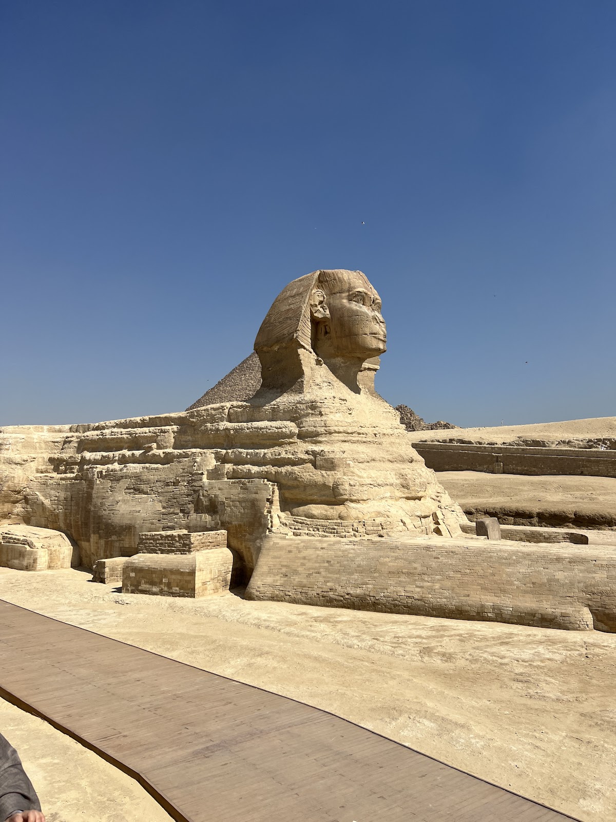 Egypt Direct Tours — tour operator in Qasr El Nil, Egypt – photo 5
